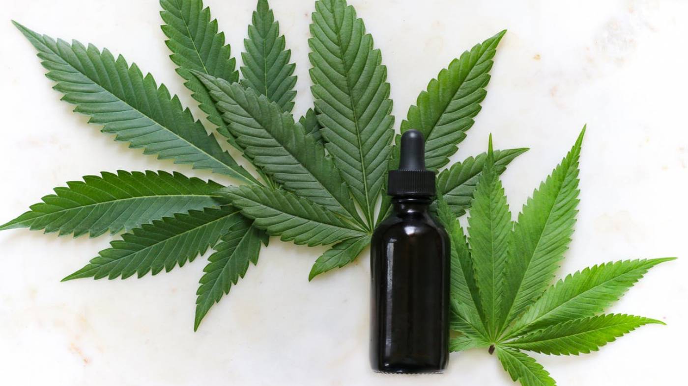 How to Earn Money on CBD Offers in 2021: A Complete Guide