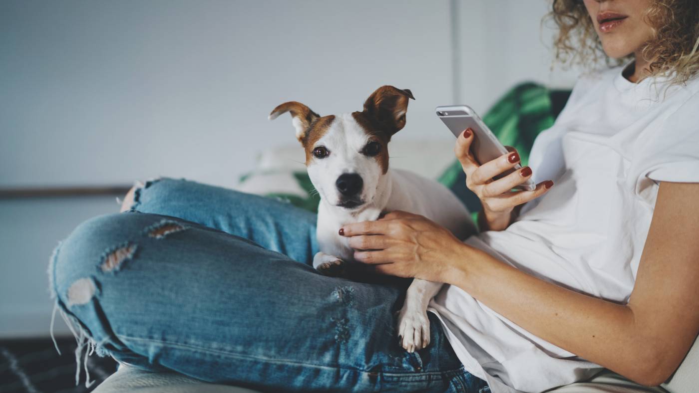 The Best Pet Affiliate Programs to Check Out in 2020