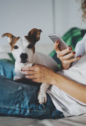 The Best Pet Affiliate Programs to Check Out in 2020