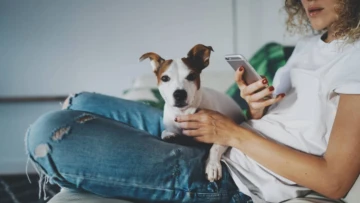 The Best Pet Affiliate Programs to Check Out in 2020