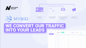 MyBid — review of the multi-format network