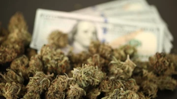 Top 17 CBD Affiliate Programs: A Guide to the Highest Paying Programs in 2021