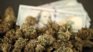 Top 17 CBD Affiliate Programs: A Guide to the Highest Paying Programs in 2021