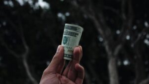 Monetizing Traffic on Push Subscriptions in zPush.biz