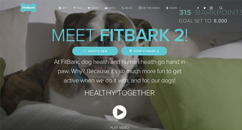 Best Pet Affiliate Programs