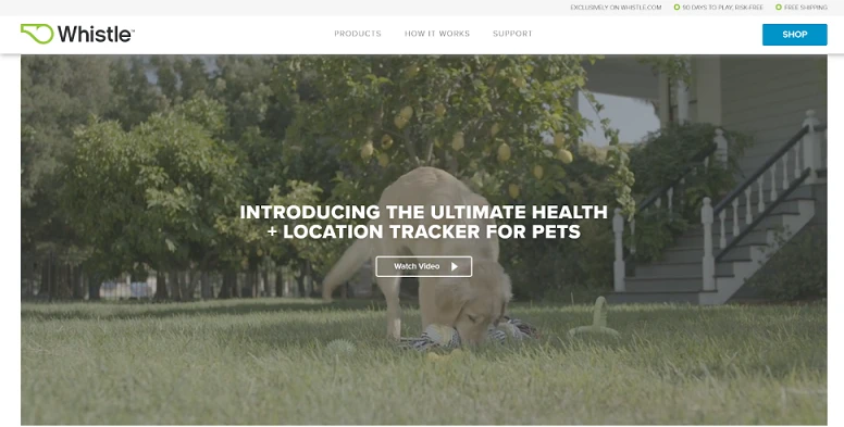 Best Pet Affiliate Programs Best Pet Affiliate Programs